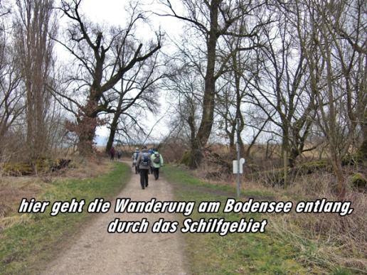 Bodensee - Rundweg